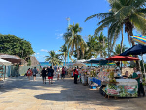 Read more about the article 22+ Things to do in Playa Del Carmen Mexico