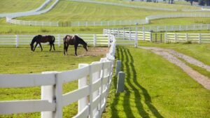 Read more about the article The best day trips from Louisville (for a day away from the races)
