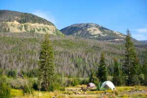 Read more about the article 5 of the best places to camp near major US cities