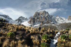 Read more about the article Glorious solitude on Mt Kenya, Africa’s other summit
