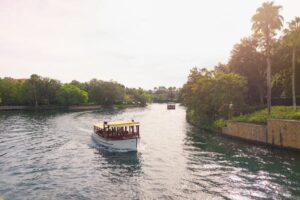 Read more about the article How to get around Florida