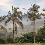 Is Bali Worth Visiting? An Honest Look at the Pros and Cons of Bali