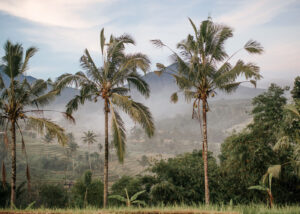 Read more about the article Is Bali Worth Visiting? An Honest Look at the Pros and Cons of Bali